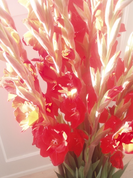 blomster11.jpg