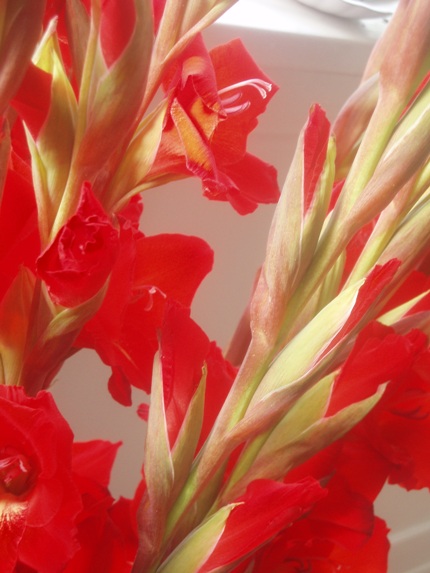 blomster2.jpg